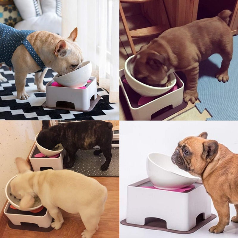 JYHY Bulldog Bowl Ceramic Dog Food Bowl - Cat Dish Wide Mouth Dog Bowl Pet Sterile Tilted Pet Feeder with Anti-Skid Rubber Mat (White M/1.5 Cup) - Image 5